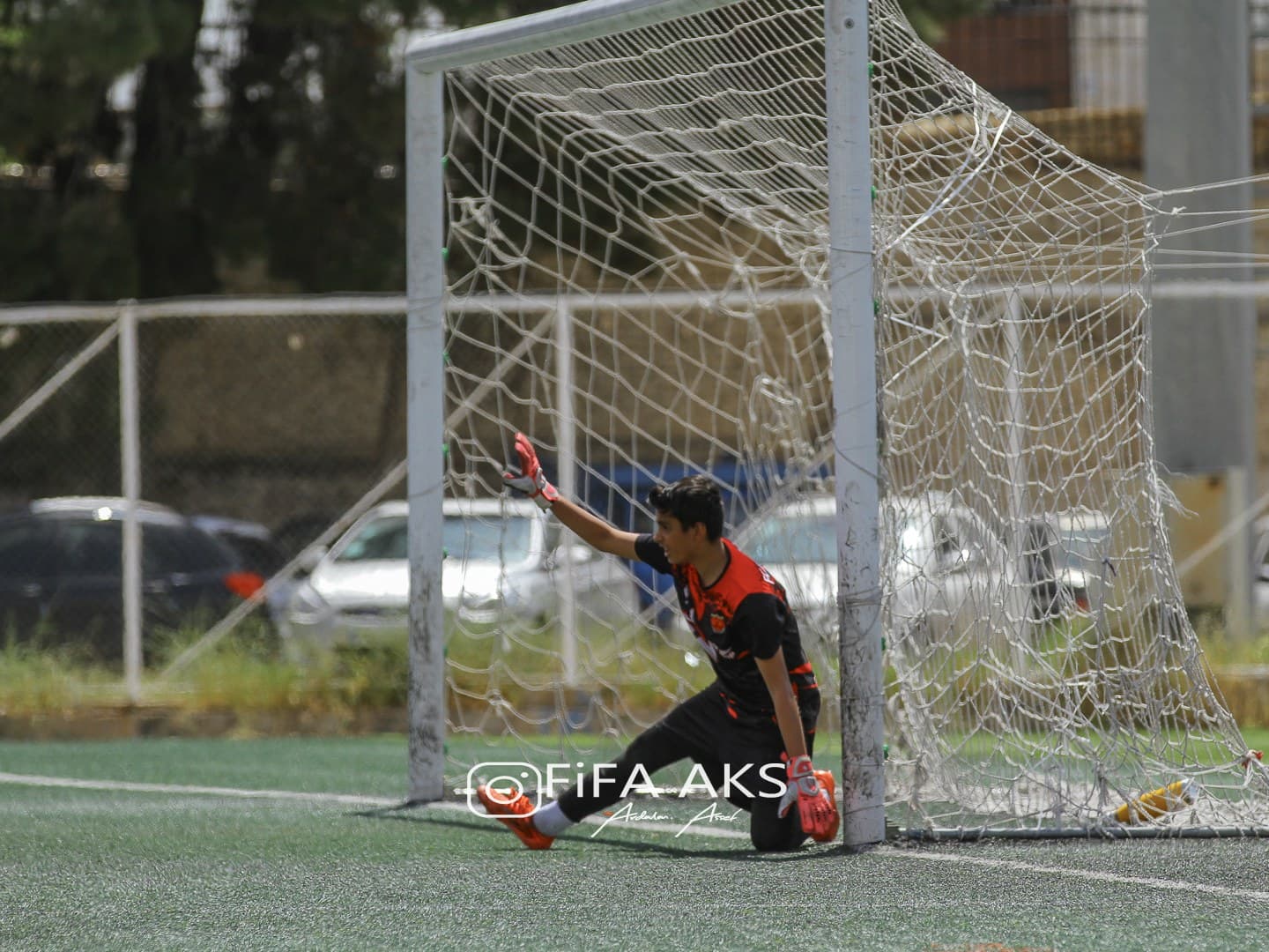 حامد رشیدی