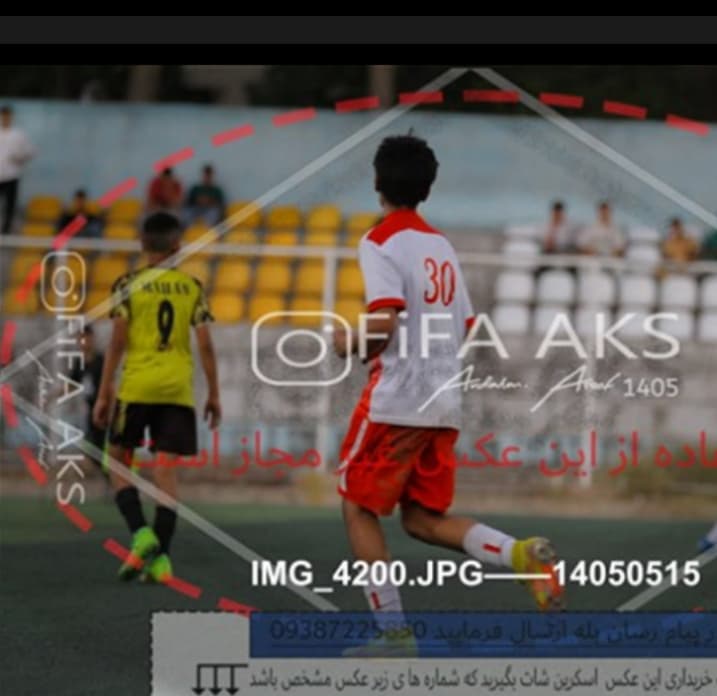 ایلیا ندافی