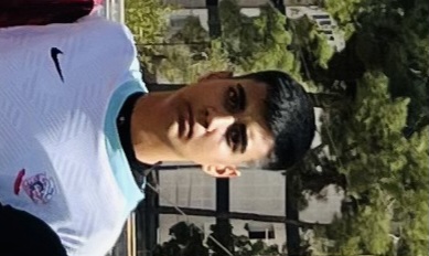 پارسا مظفری