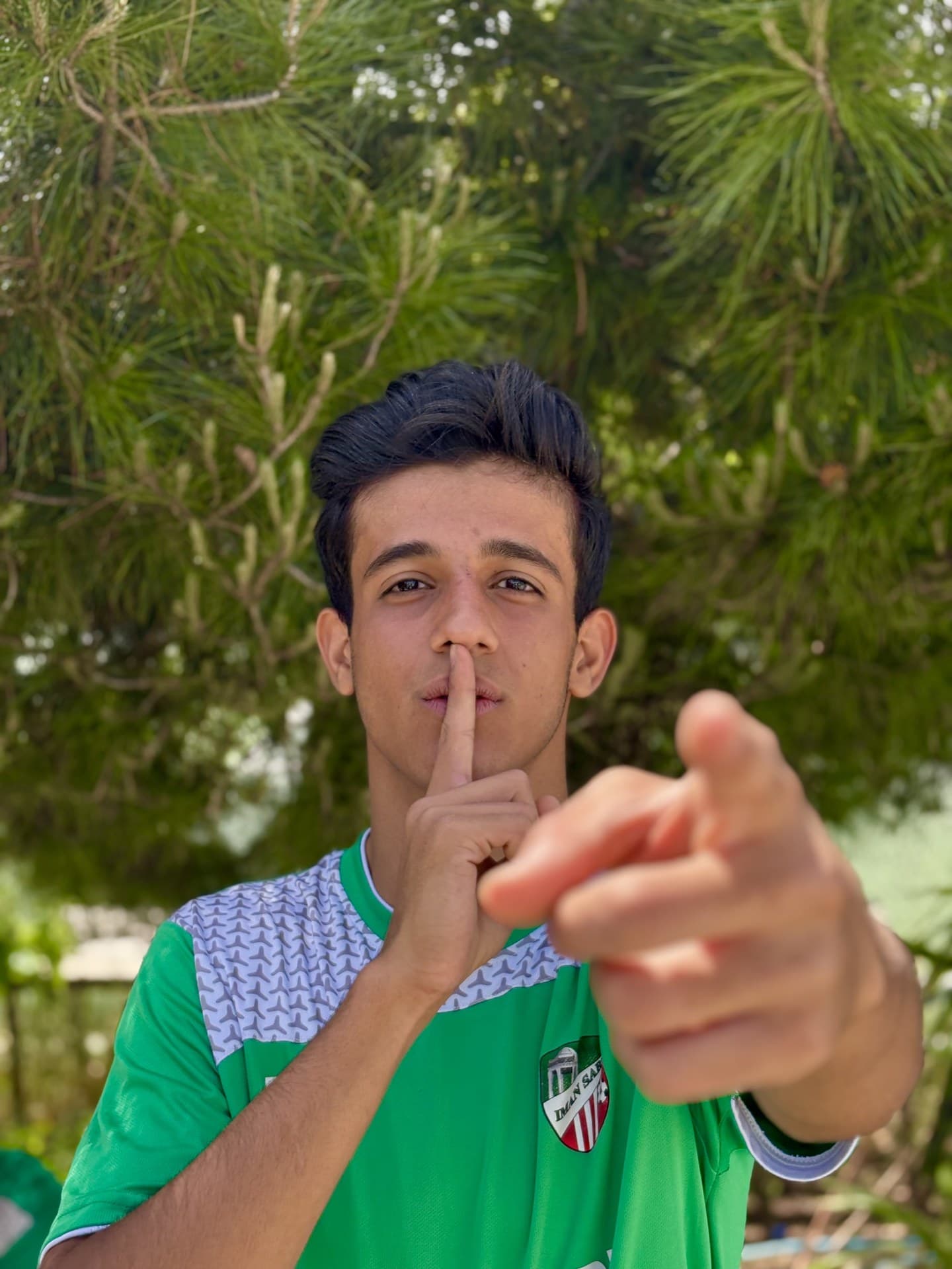 رضا همتی